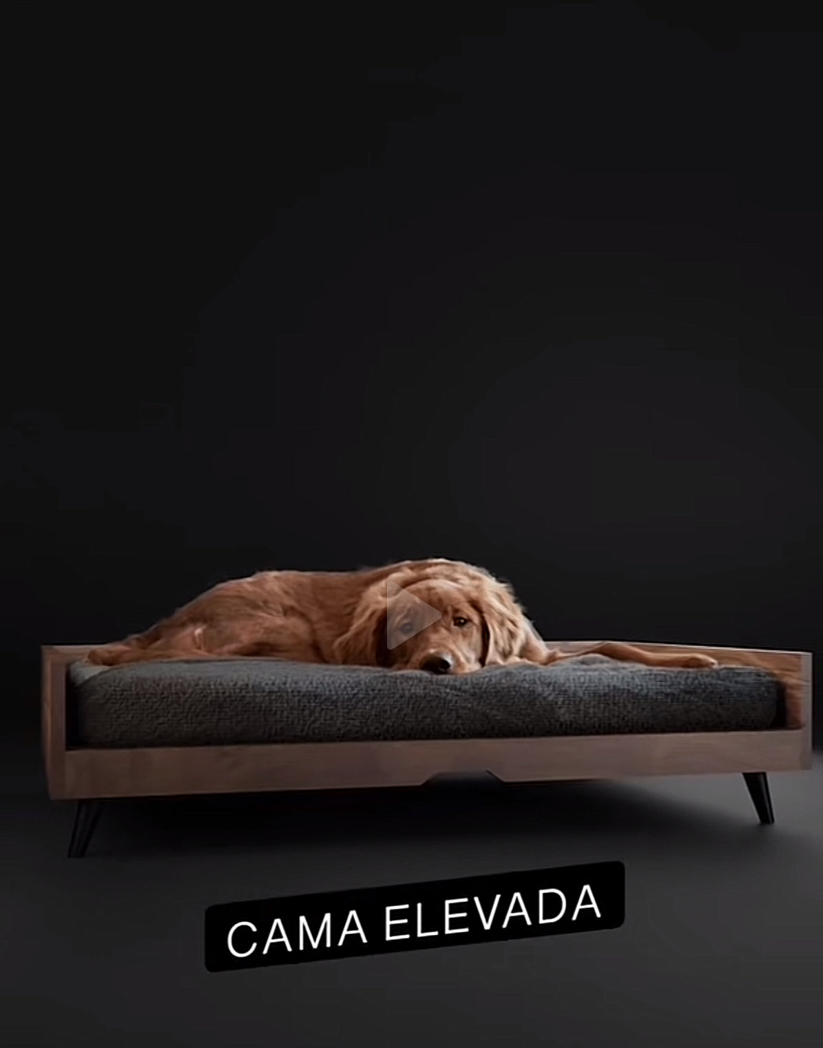 Cama para tu engreido – Estructura de Madera Maciza en color Nogal, Colchón Suave, Estilo Minimalista